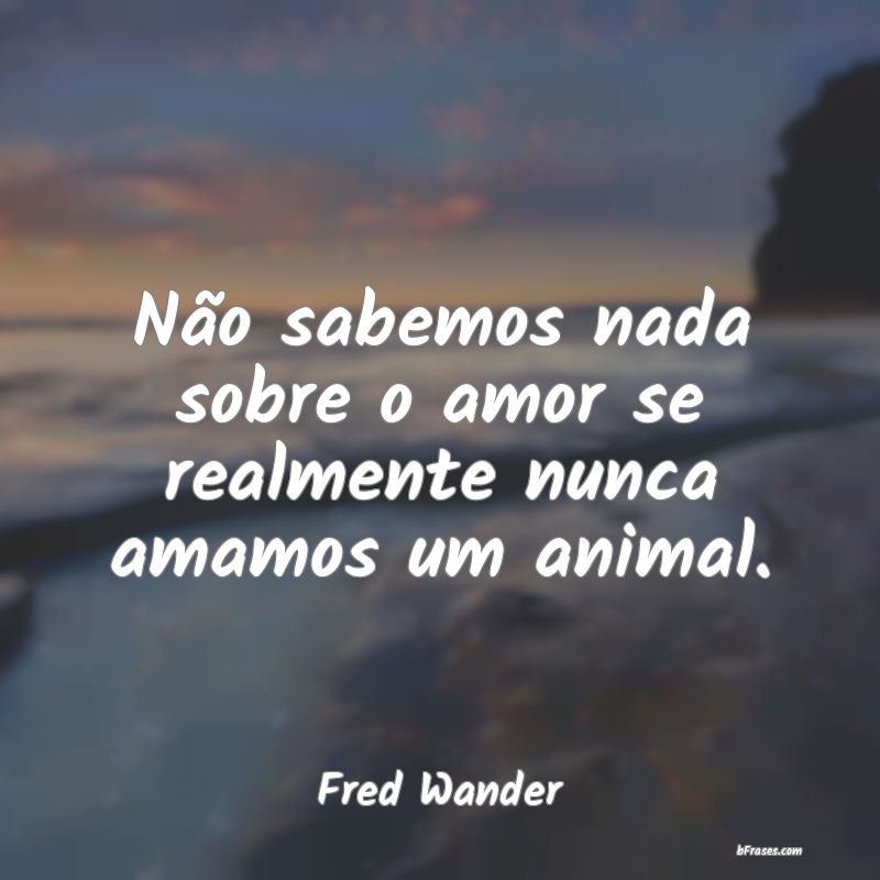 Frases de Fred Wander