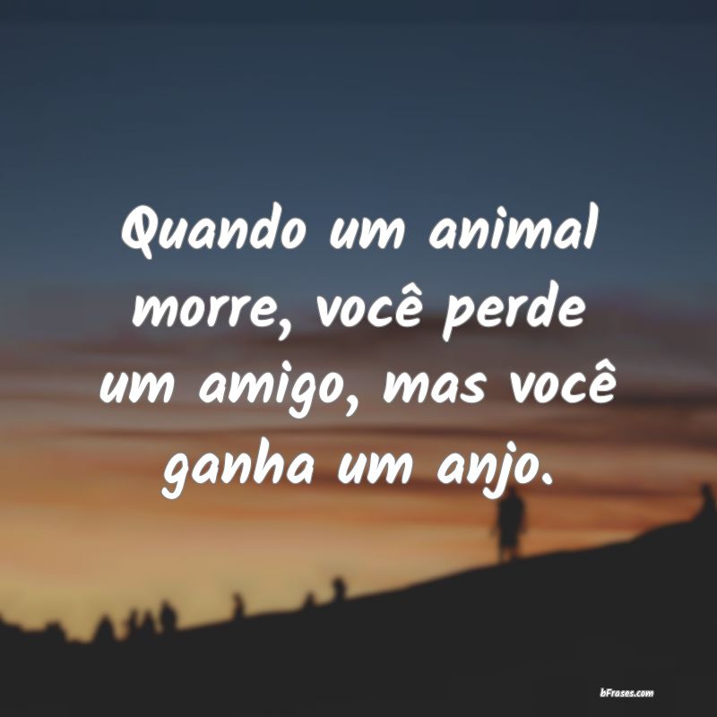 Frases sobre Animais