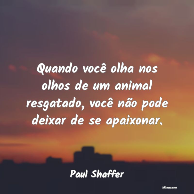 Frases de Paul Shaffer