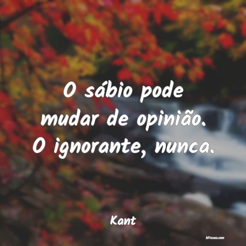 Frases de Kant