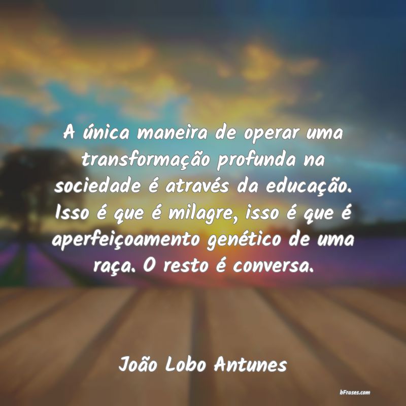 Frases de João Lobo Antunes