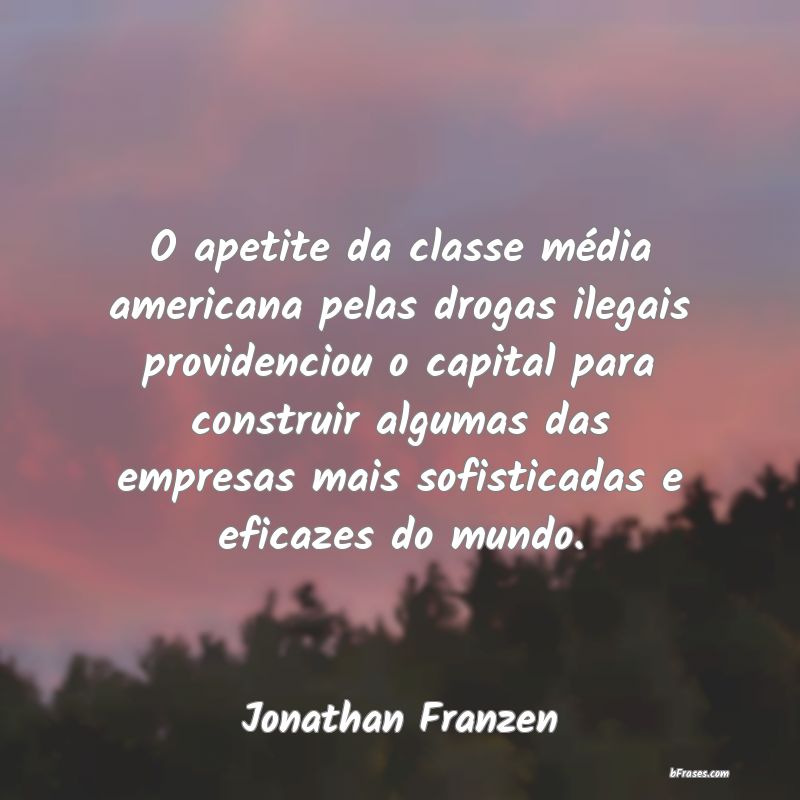 Frases de Jonathan Franzen