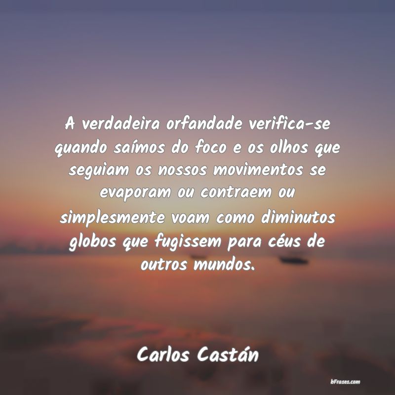 Frases de Carlos Castán