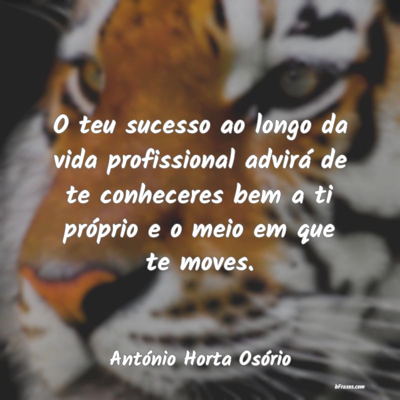 Frases de António Horta Osório