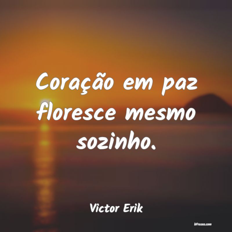 Frases de Victor Erik