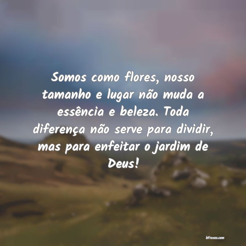 Frases Lindas