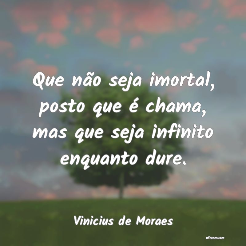 Frases de Vinicius de Moraes