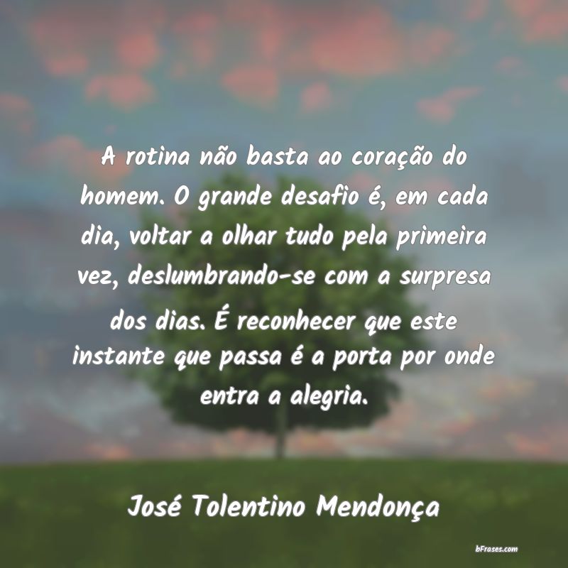 Frases de José Tolentino Mendonça