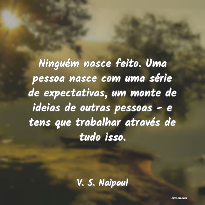 Frases de Vidiadhar Naipaul
