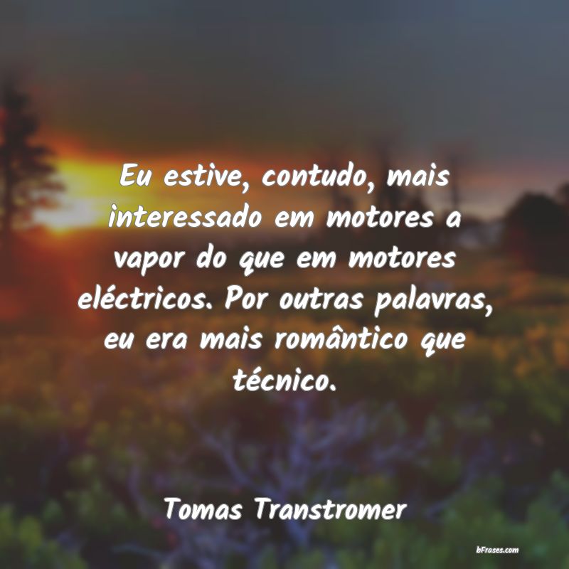 Frases de Tomas Transtromer