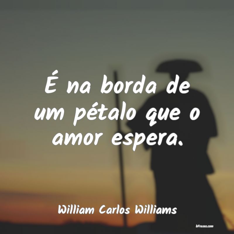 Frases de William Carlos Williams