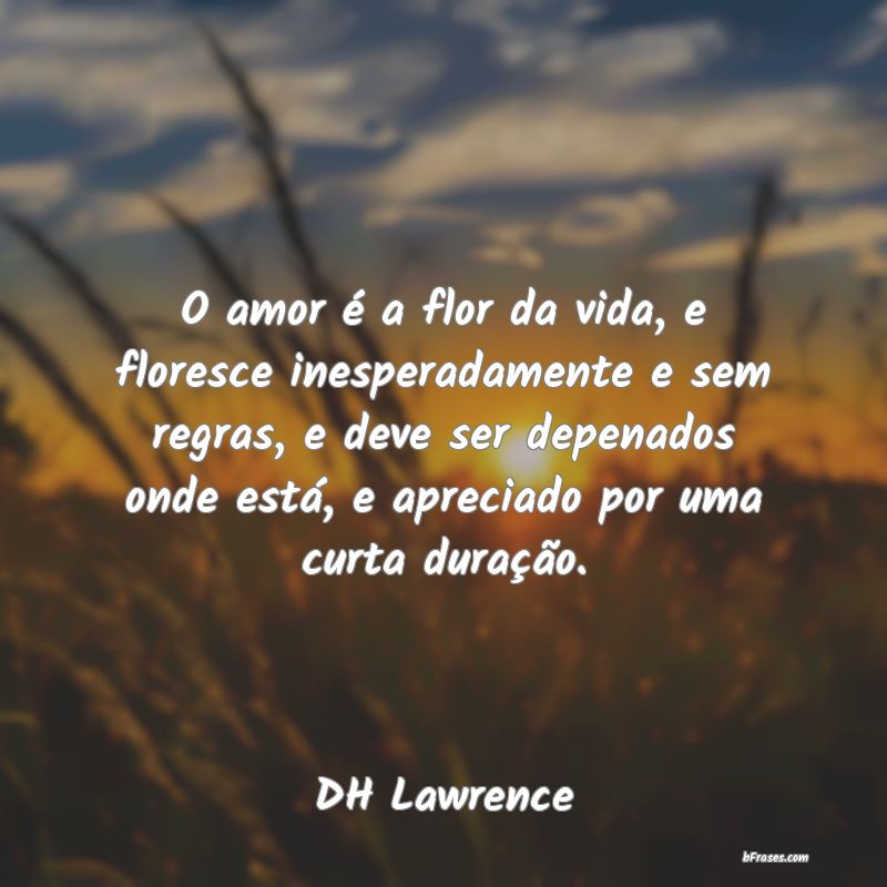 Frases de DH Lawrence