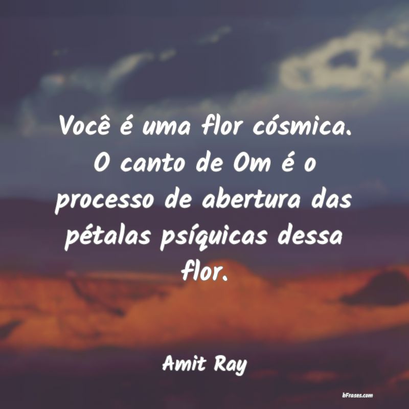 Frases de Amit Ray