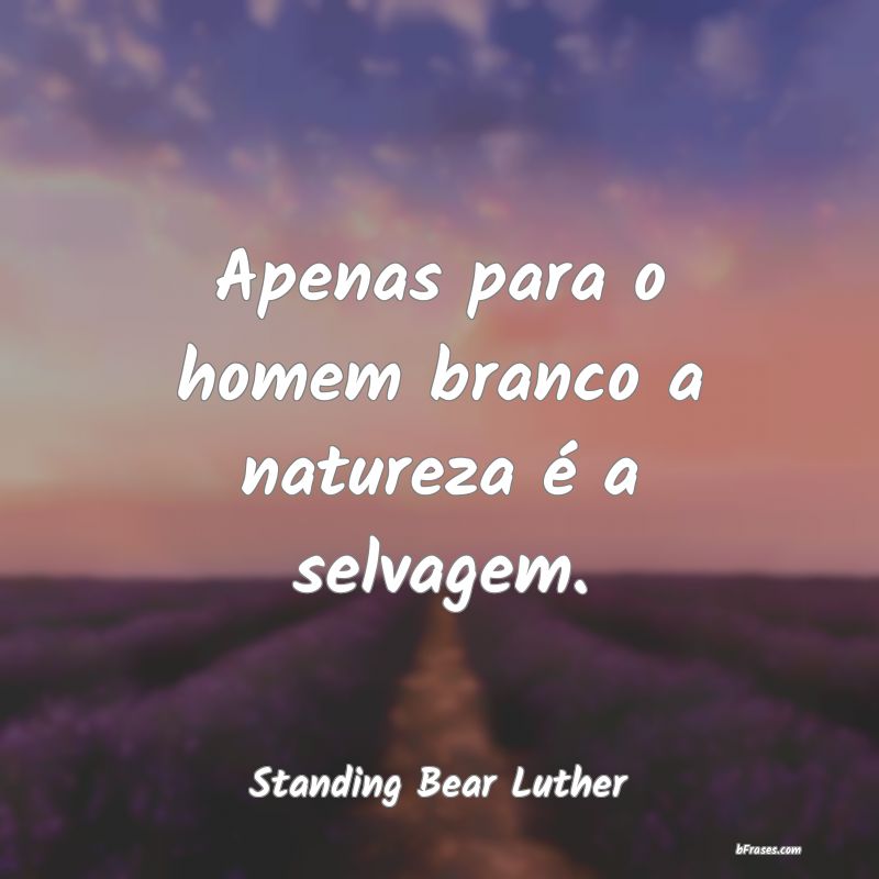 Frases de Standing Bear Luther