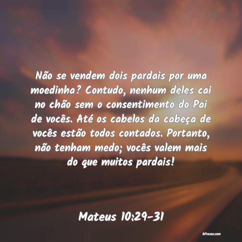 Frases de Mateus 10:29-31