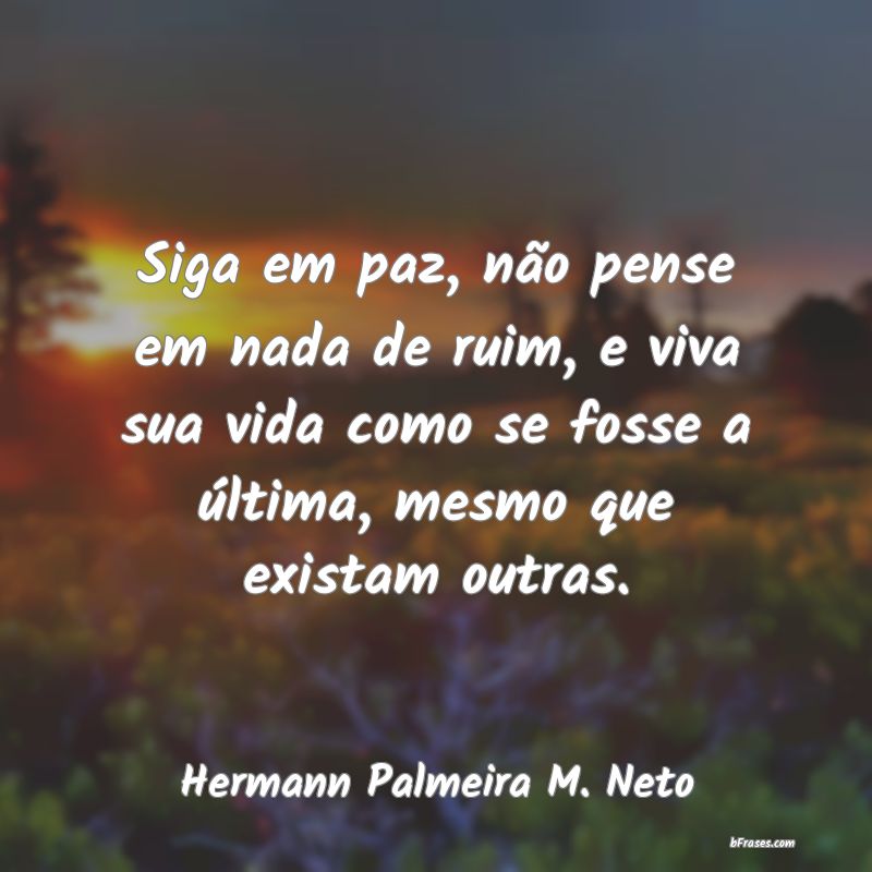 Frases de Hermann Palmeira M. Neto