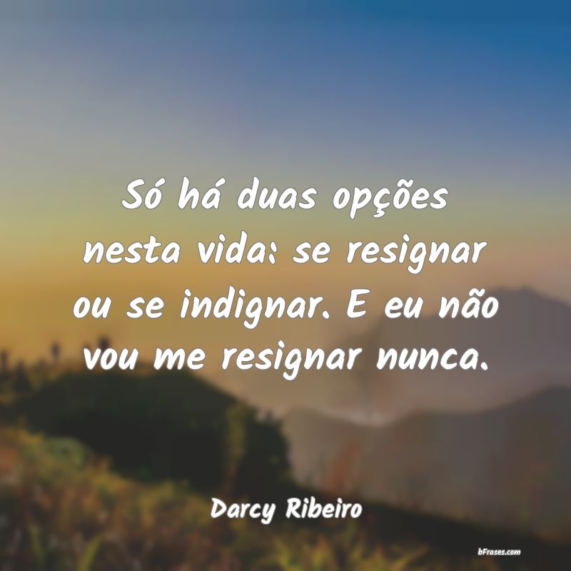Frases de Darcy Ribeiro