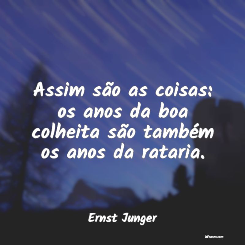 Frases de Ernst Junger