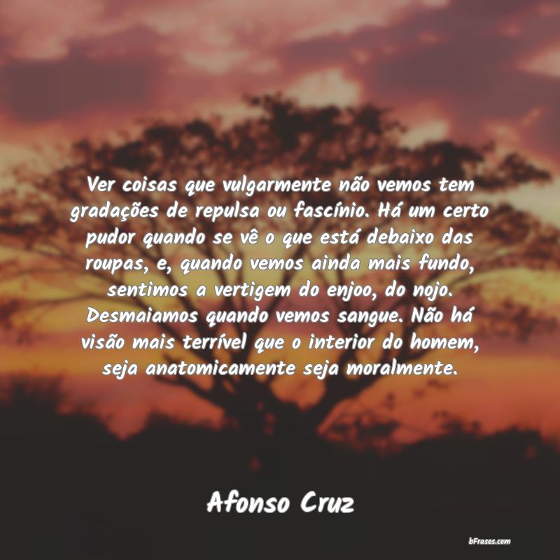 Frases de Afonso Cruz