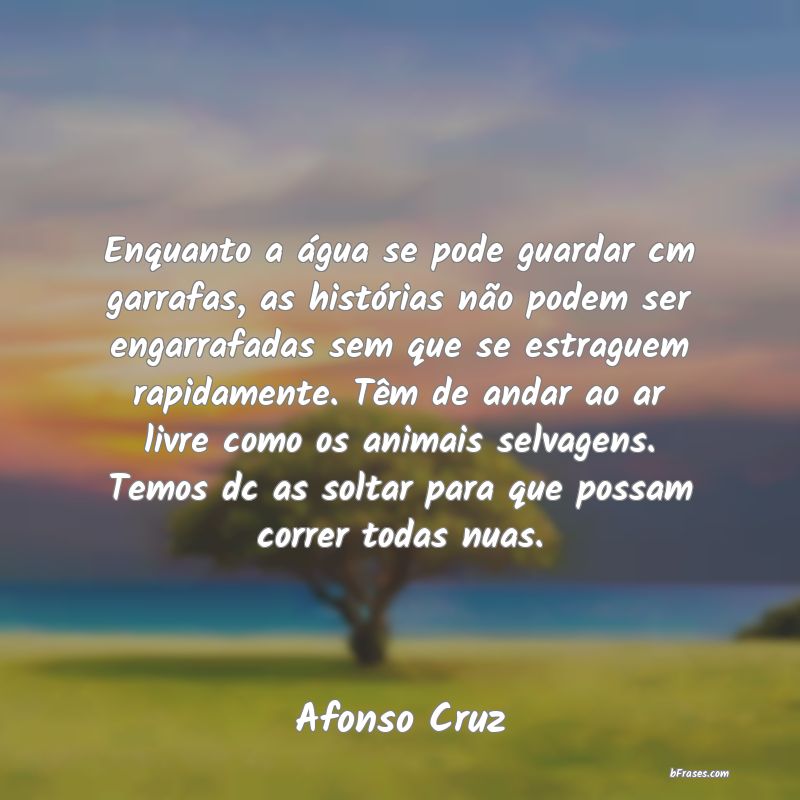 Frases de Afonso Cruz