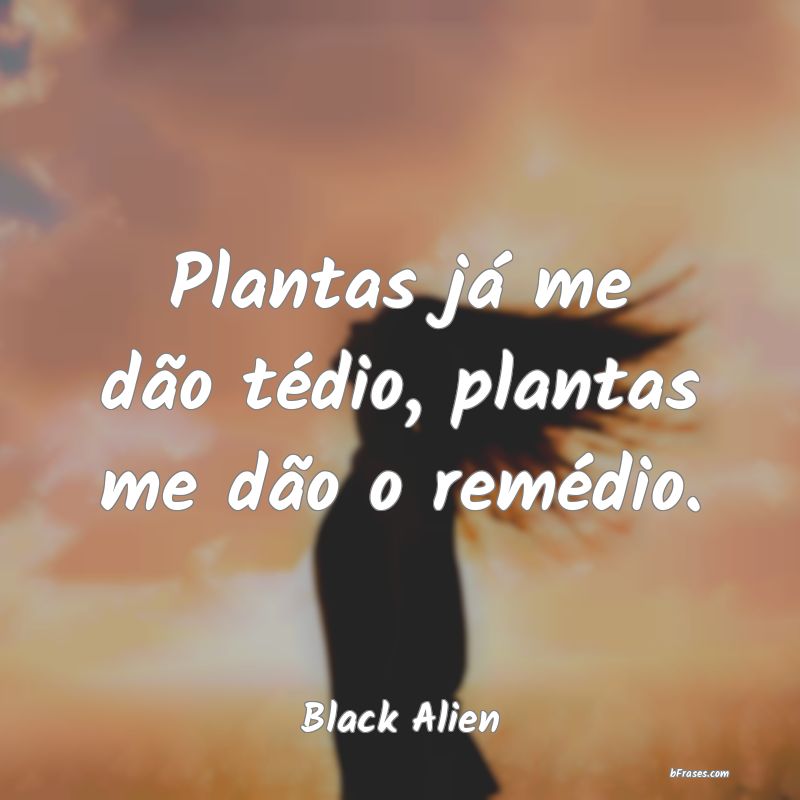 Frases de Black Alien