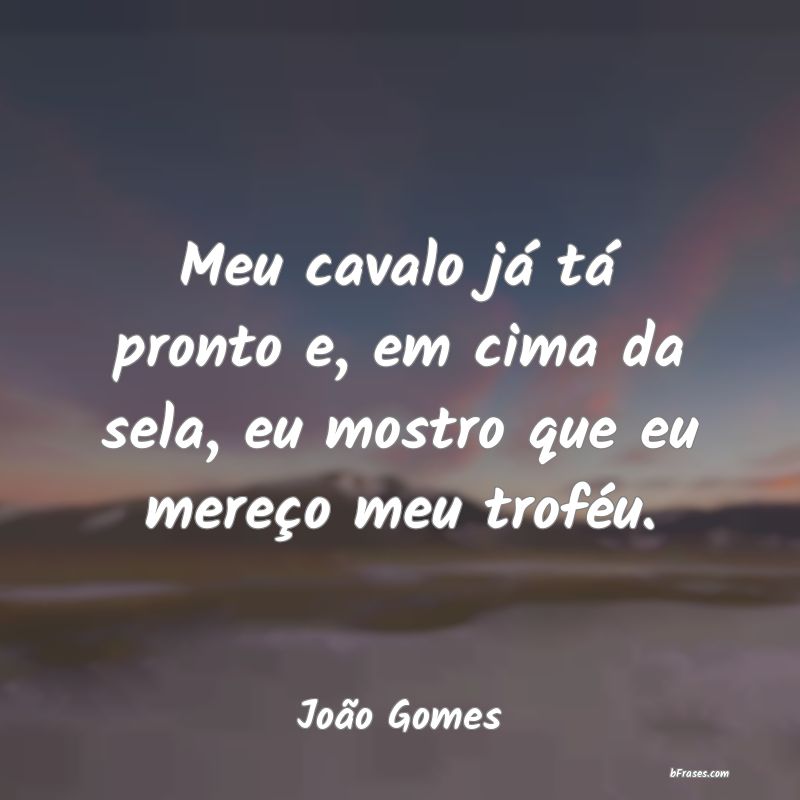Frases de João Gomes