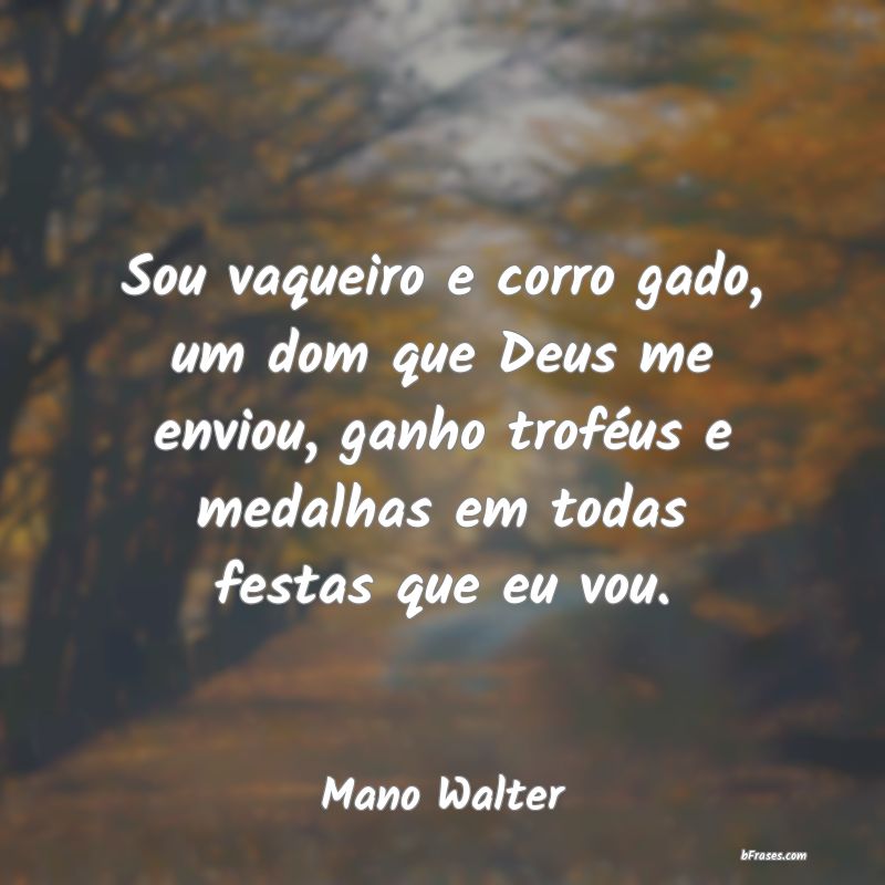 Frases de Mano Walter