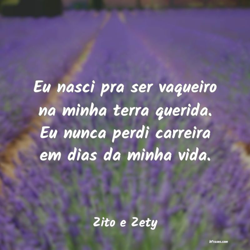 Frases de Zito e Zety