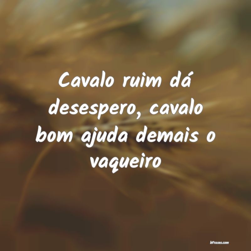 Frases de Vaqueiro