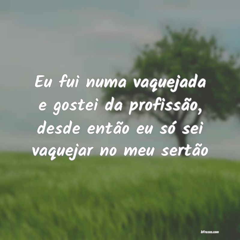 Frases de Vaqueiro