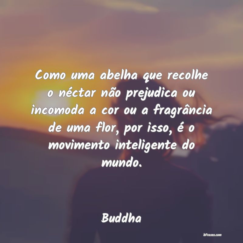 Frases de Buddha
