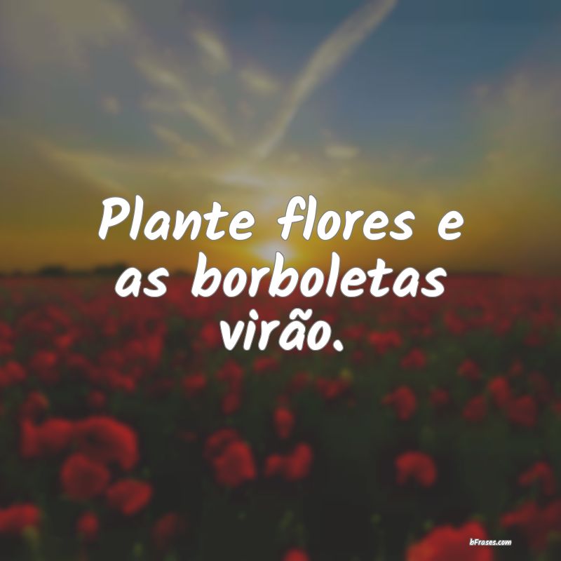 Frases Borboletas - Plante flores e as borboletas virão. 