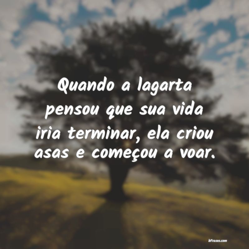 Frases Borboletas - Quando a lagarta pensou que sua vida iria terminar