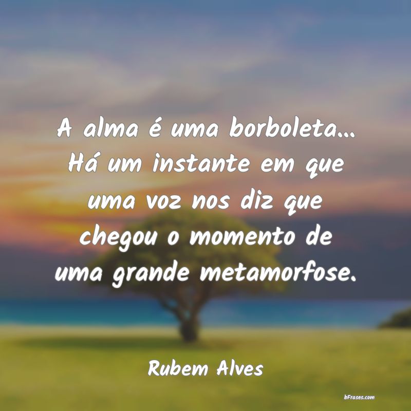 Frases de Rubem Alves