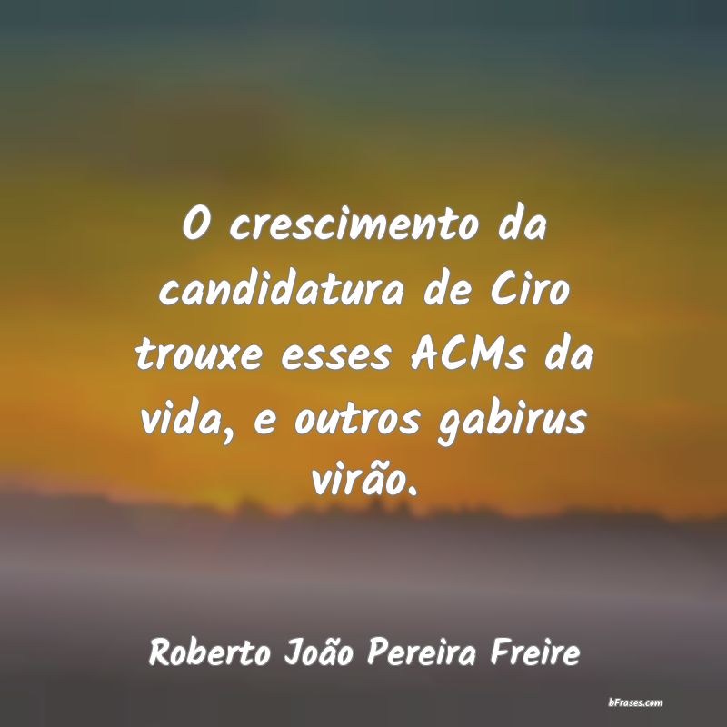 Frases de Roberto João Pereira Freire