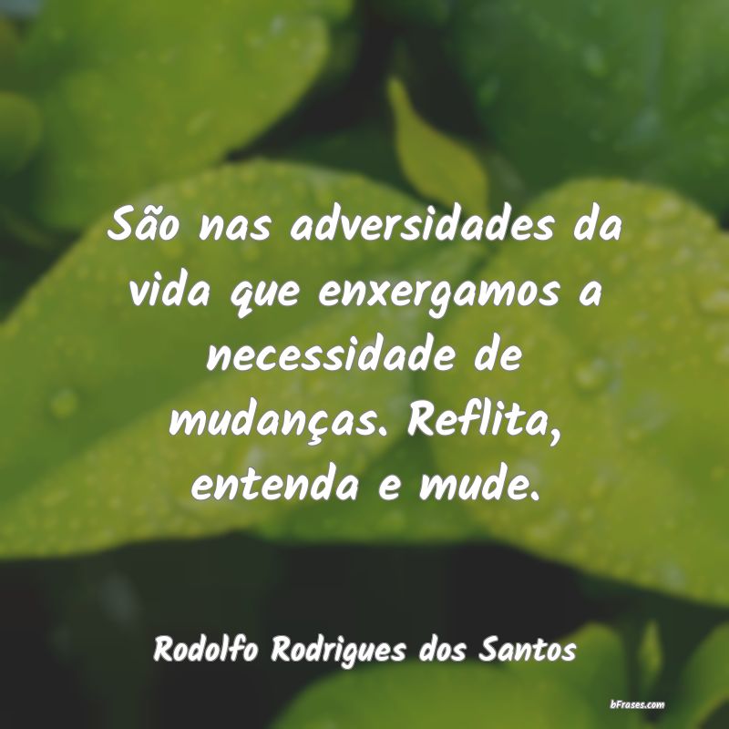 Frases de Rodolfo Rodrigues dos Santos