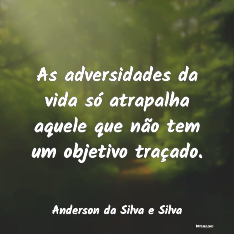 Frases de Anderson da Silva e Silva