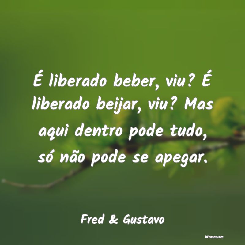 Frases de Fred & Gustavo