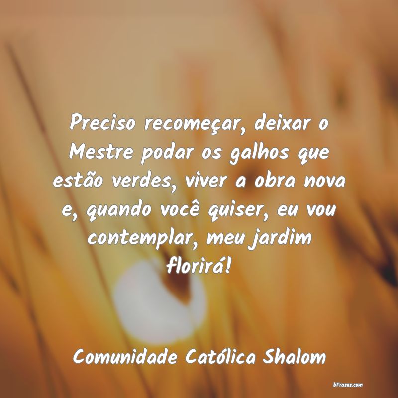Frases de Comunidade Católica Shalom