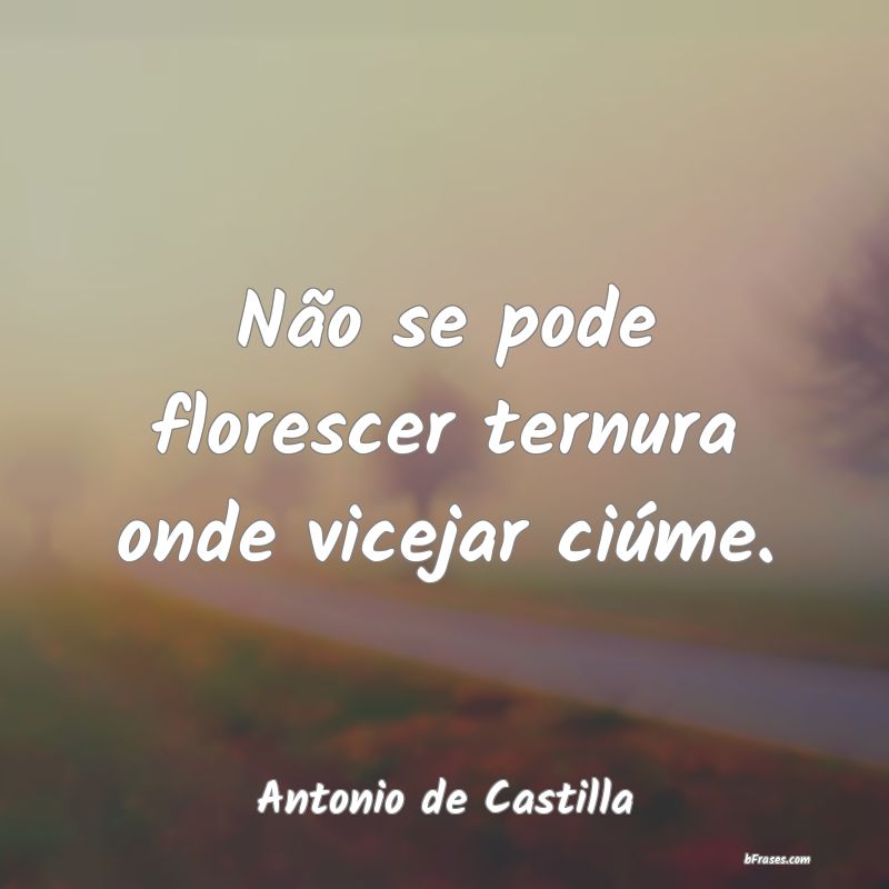 Frases de Antonio de Castilla