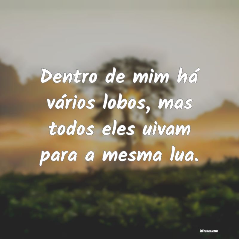 Frases de Lobo