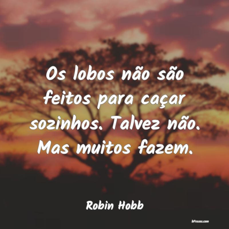 Frases de Robin Hobb