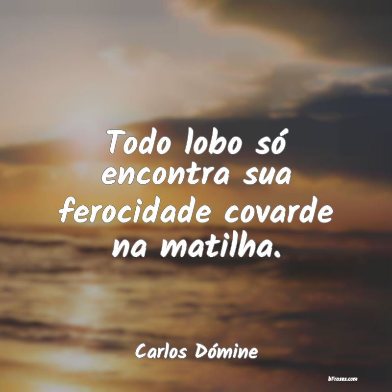 Frases de Carlos Dómine