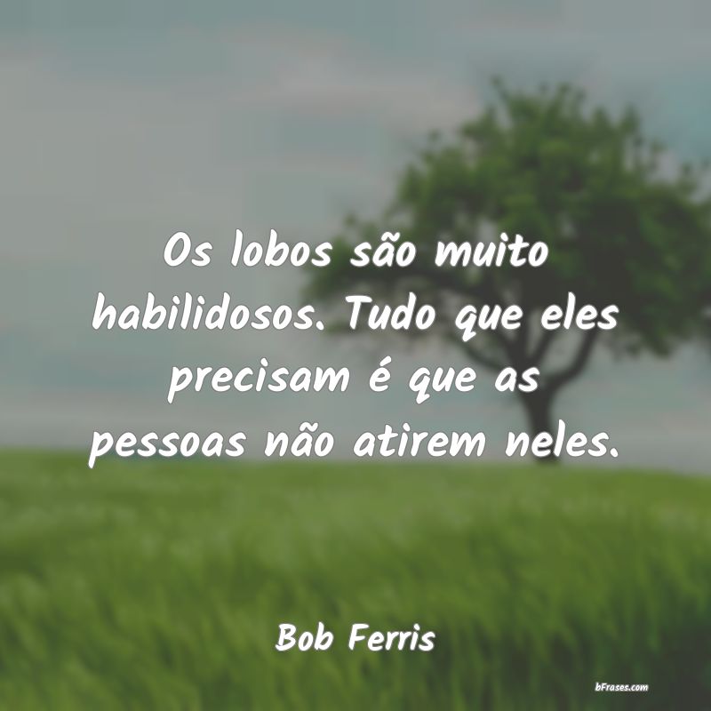 Frases de Bob Ferris