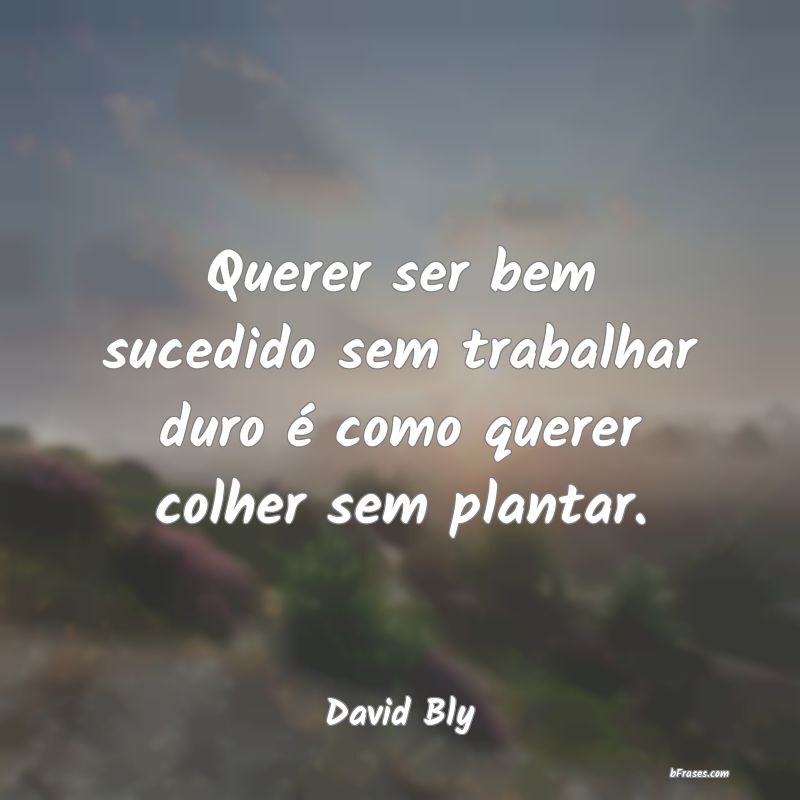 Frases de David Bly