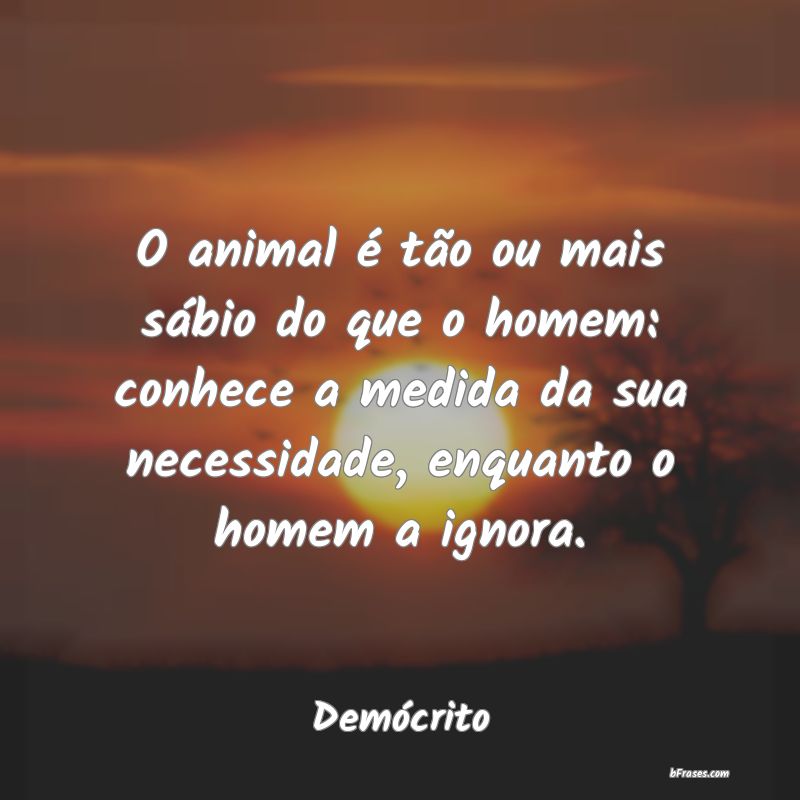 Frases de Demócrito