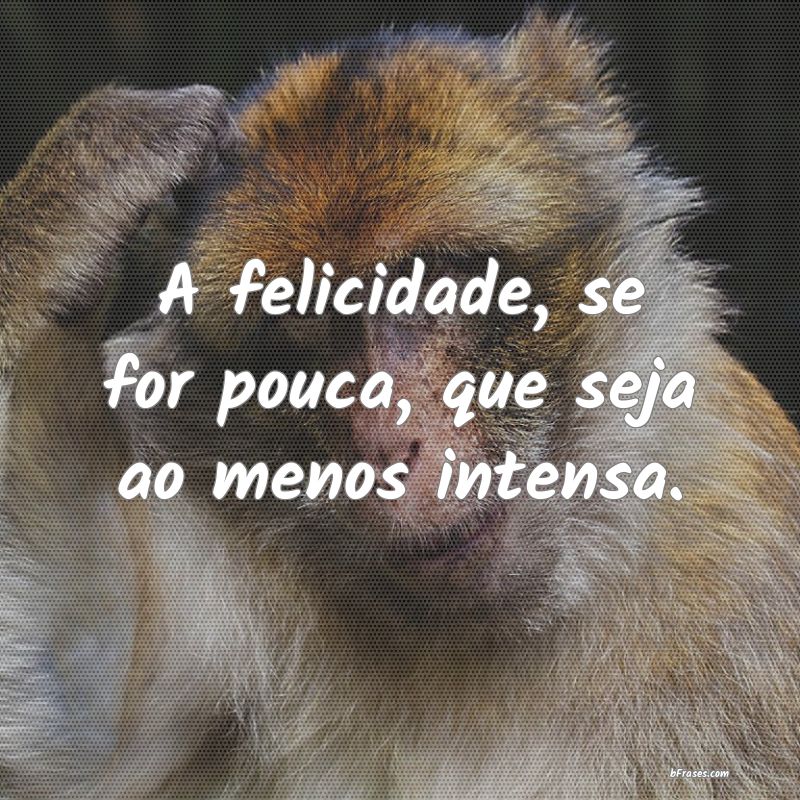 Frases de Felicidade