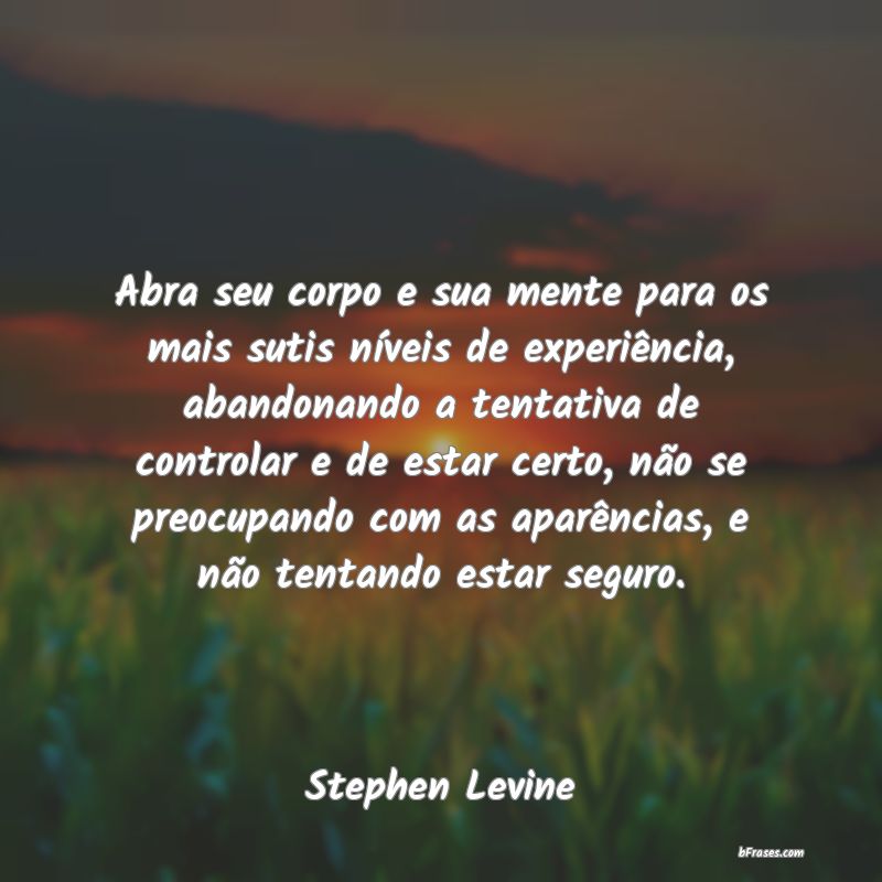 Frases de Stephen Levine
