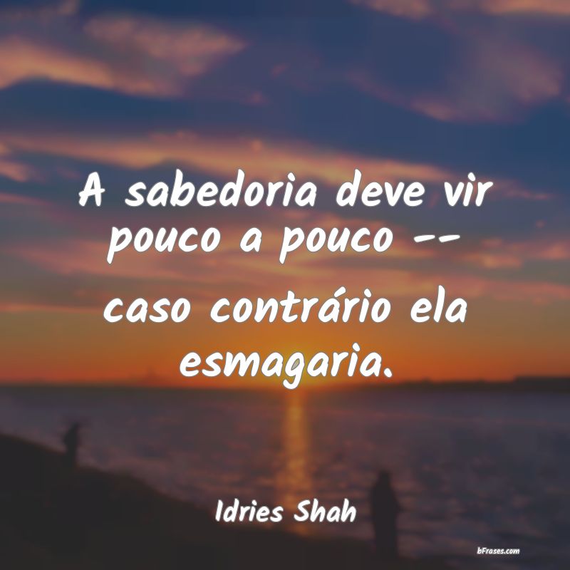 Frases de Idries Shah