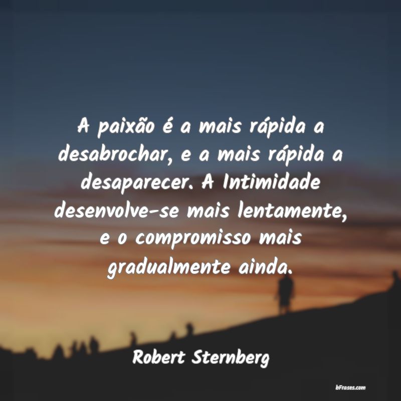 Frases de Robert Sternberg